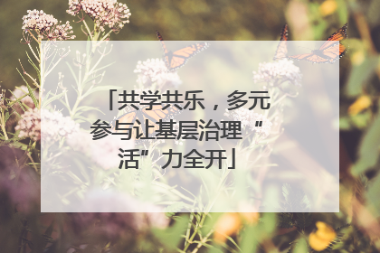 共学共乐，多元参与让基层治理“活”力全开