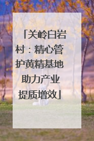 关岭白岩村：精心管护黄精基地 助力产业提质增效