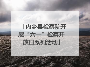 内乡县检察院开展“六一”检察开放日系列活动
