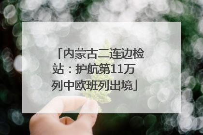 内蒙古二连边检站：护航第11万列中欧班列出境