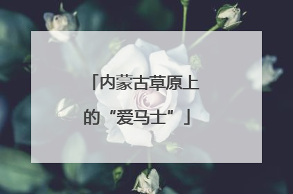 内蒙古草原上的“爱马士”