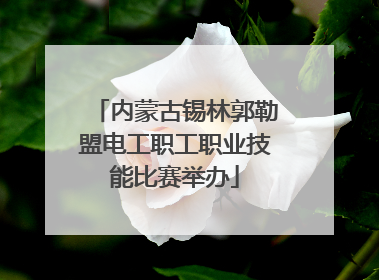 内蒙古锡林郭勒盟电工职工职业技能比赛举办
