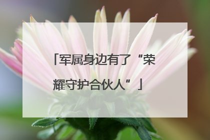 军属身边有了“荣耀守护合伙人”