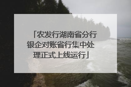 农发行湖南省分行银企对账省行集中处理正式上线运行