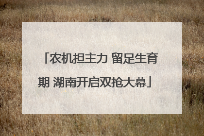 农机担主力 留足生育期 湖南开启双抢大幕