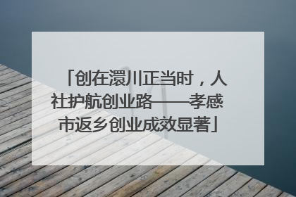 创在澴川正当时，人社护航创业路——孝感市返乡创业成效显著
