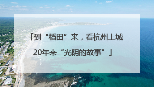 到“稻田”来,看杭州上城20年来“光阴的故事”