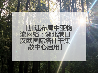 加速布局中亚物流网络：湖北港口汉欧国际塔什干集散中心启用