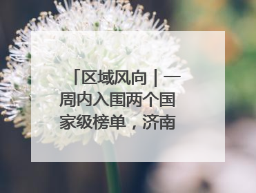 区域风向｜一周内入围两个国家级榜单，济南“显性增长”刷新城市影响力