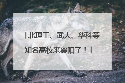 北理工、武大、华科等知名高校来襄阳了！
