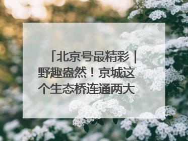 北京号最精彩｜野趣盎然！京城这个生态桥连通两大网红公园