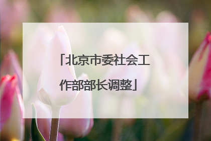 北京市委社会工作部部长调整