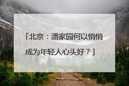 北京：潘家园何以悄悄成为年轻人心头好？