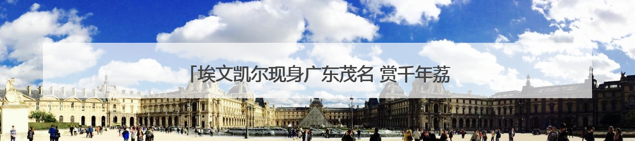 埃文凯尔现身广东茂名 赏千年荔枝树 上演无间道式“荔枝自由”