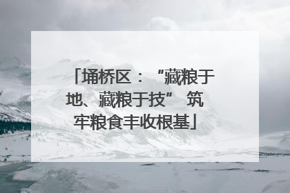 埇桥区：“藏粮于地、藏粮于技” 筑牢粮食丰收根基