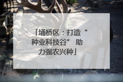 埇桥区：打造“种业科技谷” 助力强农兴种