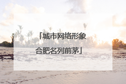 城市网络形象合肥名列前茅