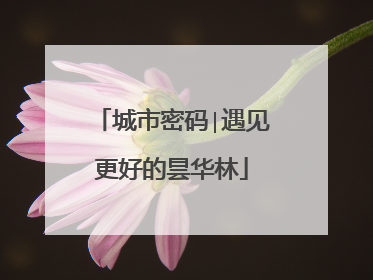 城市密码∣遇见更好的昙华林