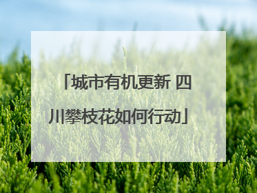 城市有机更新 四川攀枝花如何行动