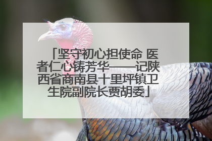 坚守初心担使命 医者仁心铸芳华——记陕西省商南县十里坪镇卫生院副院长贾胡委