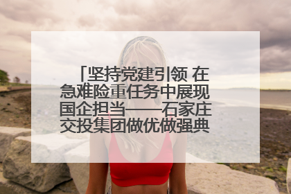 坚持党建引领 在急难险重任务中展现国企担当——石家庄交投集团做优做强典型报道之一