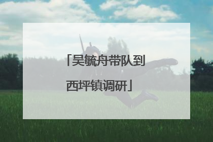 吴毓舟带队到西坪镇调研