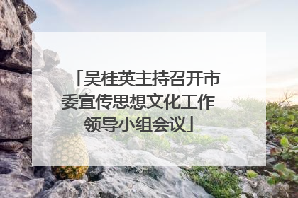 吴桂英主持召开市委宣传思想文化工作领导小组会议