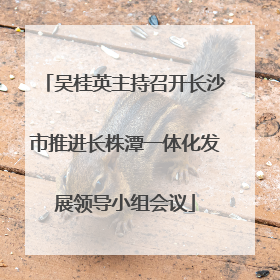 吴桂英主持召开长沙市推进长株潭一体化发展领导小组会议