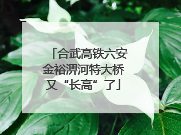 合武高铁六安金裕淠河特大桥又“长高”了