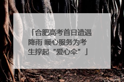 合肥高考首日遭遇降雨 暖心服务为考生撑起“爱心伞”
