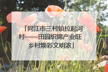 同江市三村镇拉起河村——田园织锦产业旺 乡村焕彩文明浓