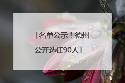 名单公示！德州公开选任90人