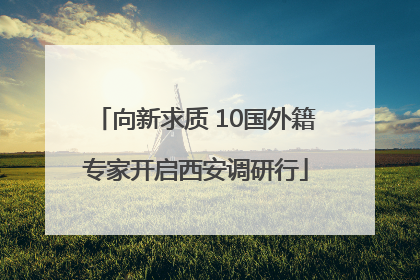 向新求质 10国外籍专家开启西安调研行