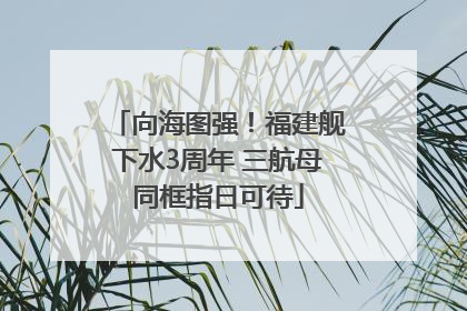 向海图强！福建舰下水3周年 三航母同框指日可待