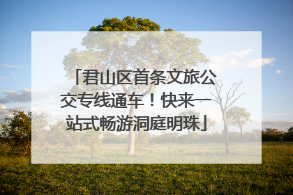 君山区首条文旅公交专线通车！快来一站式畅游洞庭明珠