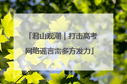 君山观潮｜打击高考网络谣言需多方发力