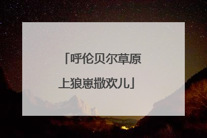 呼伦贝尔草原上狼崽撒欢儿