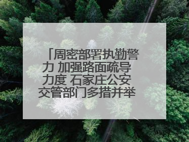 周密部署执勤警力 加强路面疏导力度 石家庄公安交管部门多措并举确保考点周边交通环境良好