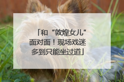和“敦煌女儿”面对面！现场戏迷多到只能坐过道