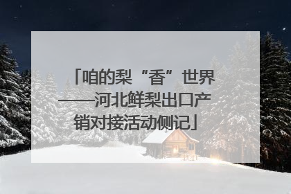 咱的梨“香”世界——河北鲜梨出口产销对接活动侧记