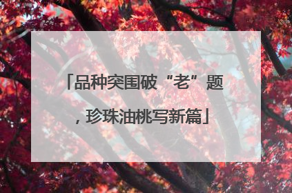 品种突围破“老”题，珍珠油桃写新篇