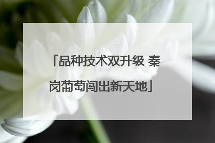 品种技术双升级 秦岗葡萄闯出新天地