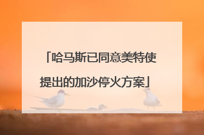 哈马斯已同意美特使提出的加沙停火方案