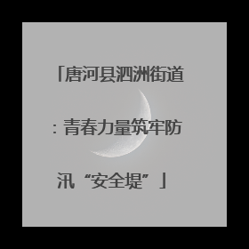 唐河县泗洲街道：青春力量筑牢防汛“安全堤”
