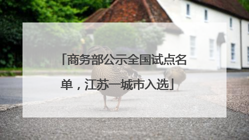 商务部公示全国试点名单，江苏一城市入选