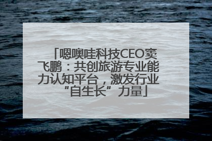 嗯噢哇科技CEO窦飞鹏：共创旅游专业能力认知平台，激发行业“自生长”力量
