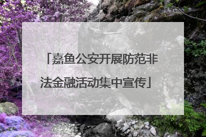 嘉鱼公安开展防范非法金融活动集中宣传