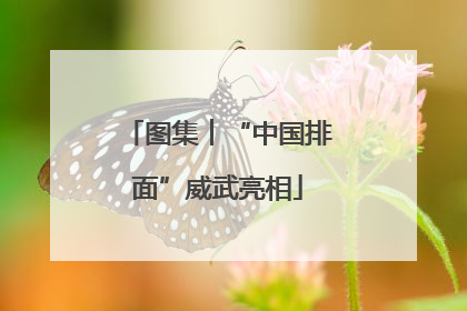 图集︱“中国排面”威武亮相