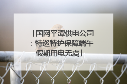 国网平潭供电公司：特巡特护保障端午假期用电无虞
