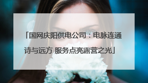 国网庆阳供电公司：电脉连通诗与远方 服务点亮露营之光